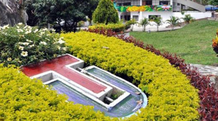 Universidad del Tolima