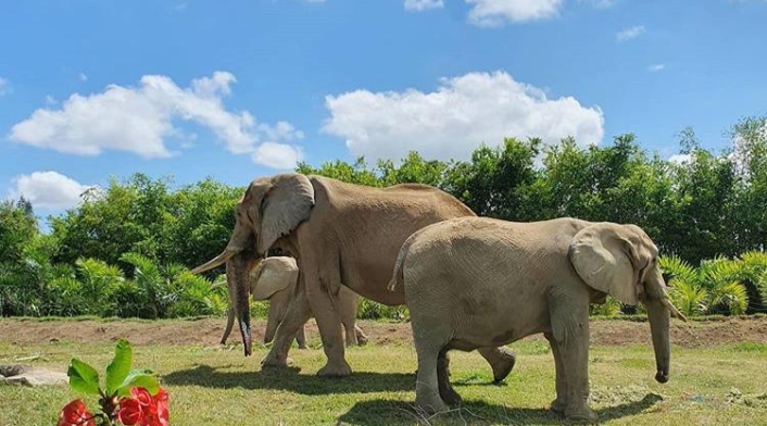 Bioparque Ukumarí