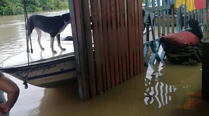 El agua ingresó a las viviendas ocasionando graves daños.