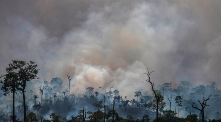Incendios en la Amazonía brasileña
