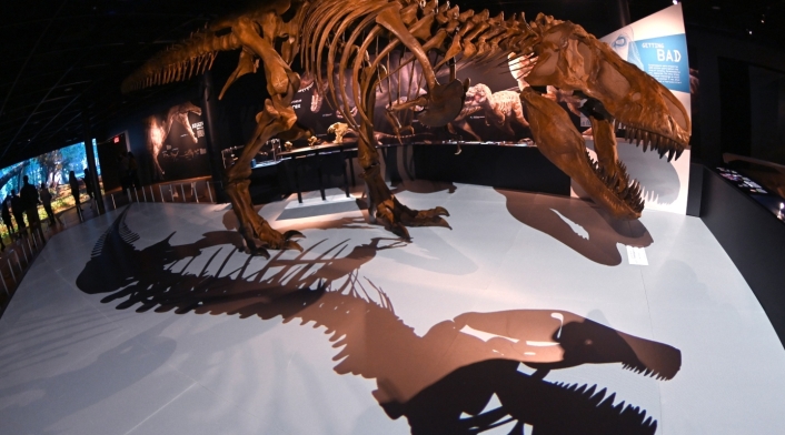 Dinosaurio