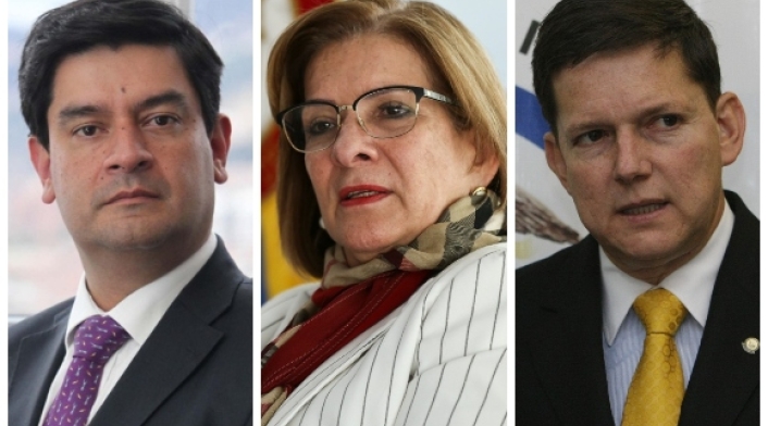 Terna elección procurador