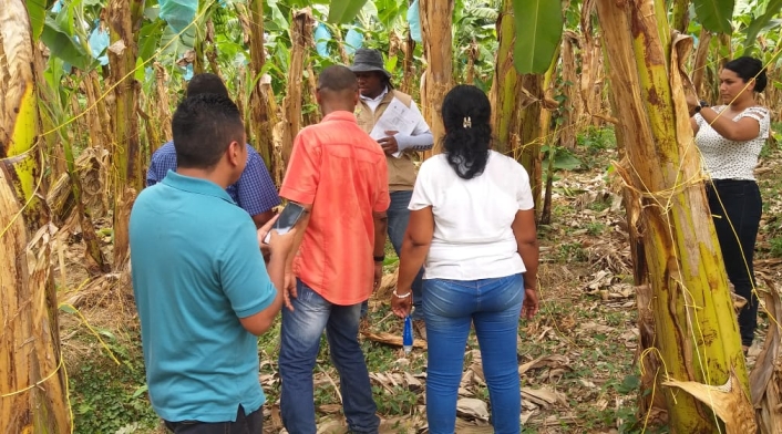 Referencia restitución de tierras en el Urabá antioqueño.