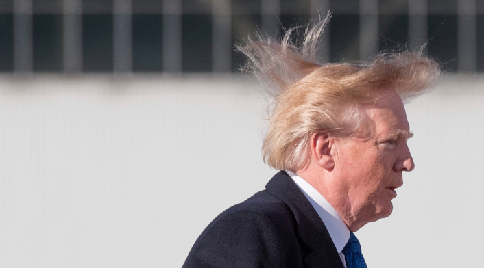 Cabello de Donald Trump