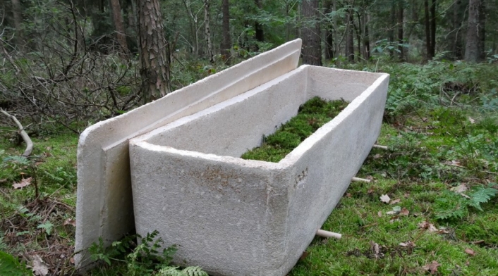 Ataúd de hongos