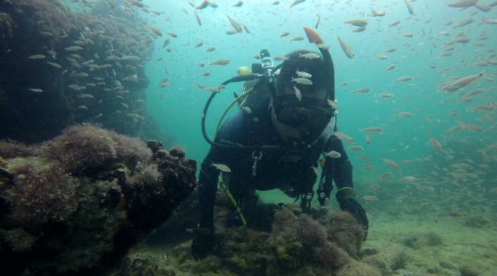 Naufragio esclavista de mayas en México