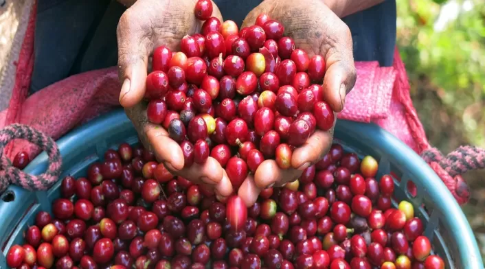 café colombiano