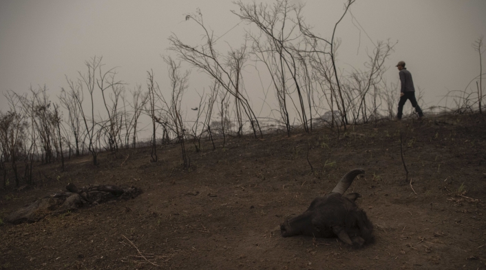 Incendio en humedal más grande del mundo en Brasil.