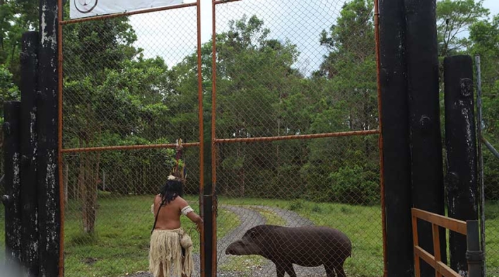 Meta - reactivación del turismo - Tiuma Park