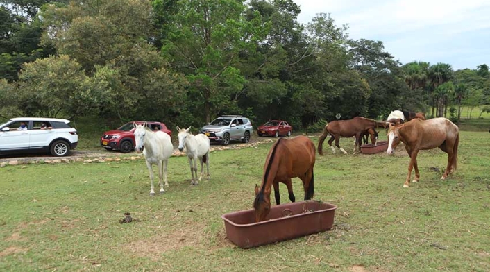 Meta - reactivación del turismo - Tiuma Park