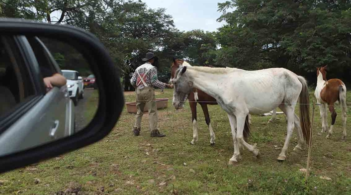 Meta - reactivación del turismo - Tiuma Park