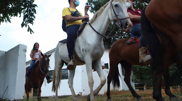 Meta - Caballos - Reactivación económica