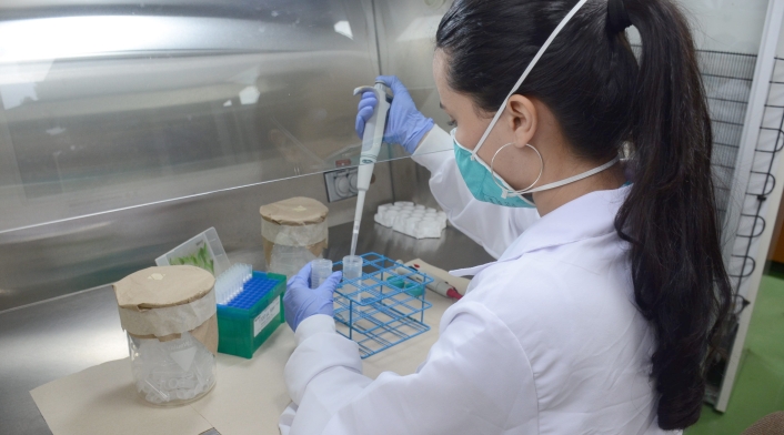 Laboratorio coronavirus Laboratorio coronavirus
