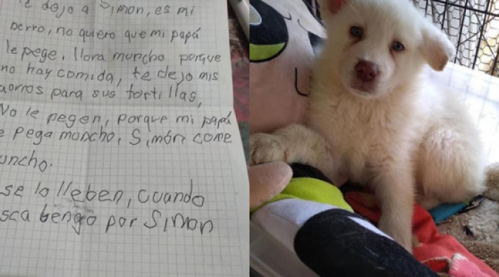 Perrito abandonado