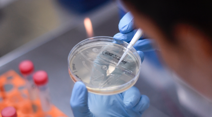 Referencia coronavirus.
