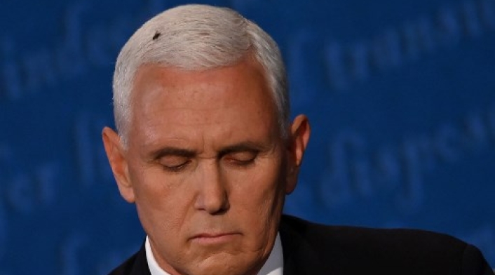 Una mosca se posó sobre el actual vicepresidente Mike Pence