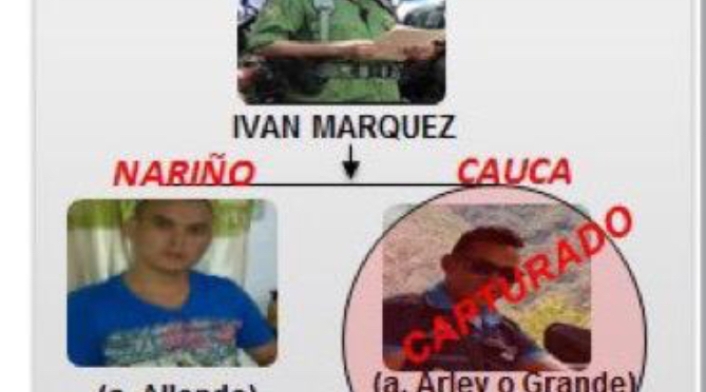 Alias Grande