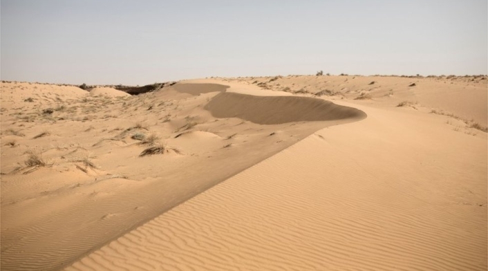 Desierto del Sahara