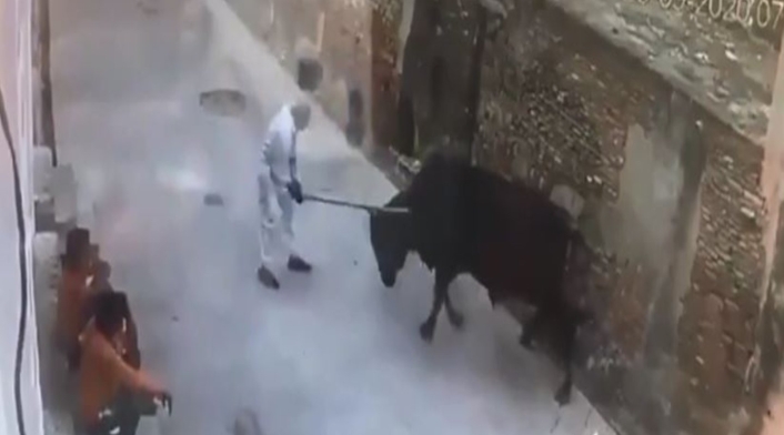 El brutal ataque de un toro a un hombre que le había pegado con un palo