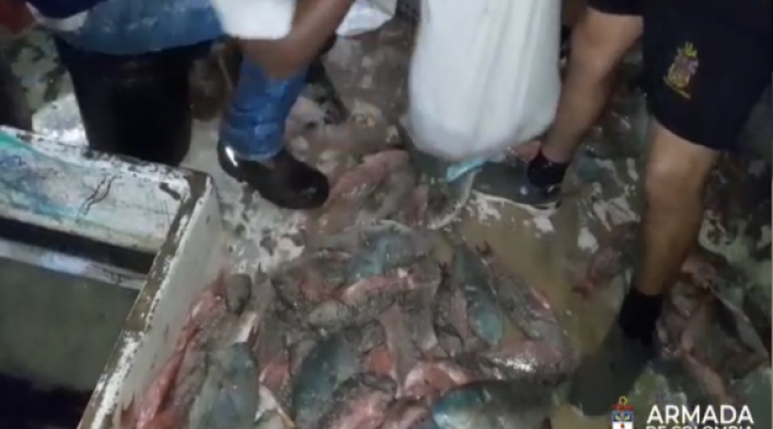 Incautan pescado en San Andrés