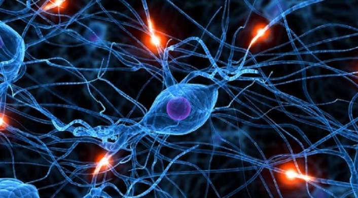 Neuronas Neuronas