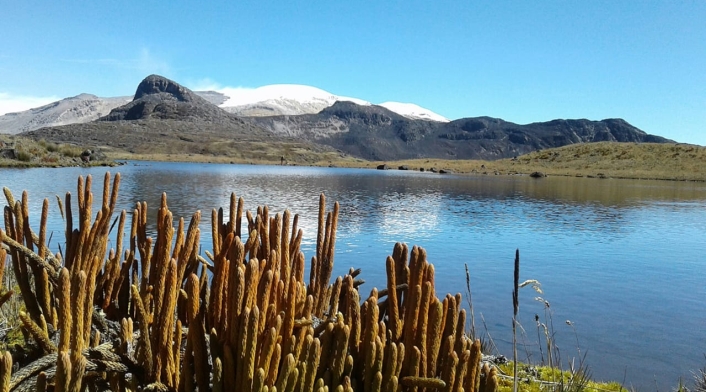 Parque Nacional Natural Los Nevados.