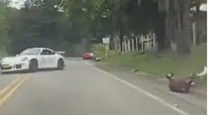 Accidente Barbosa
