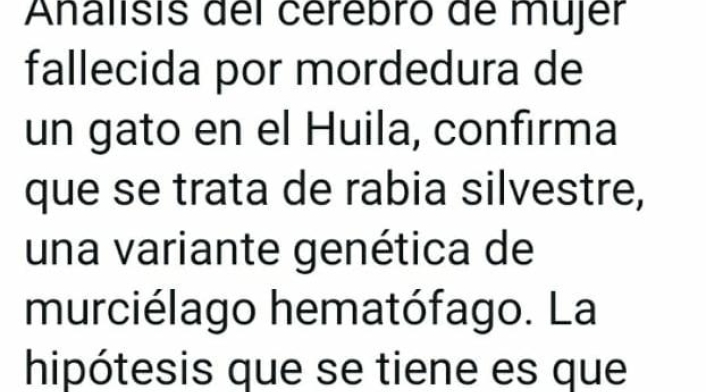 Vacunación gatos y perros