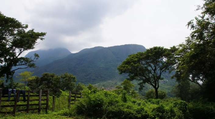 Restitución de tierras en el Tolima