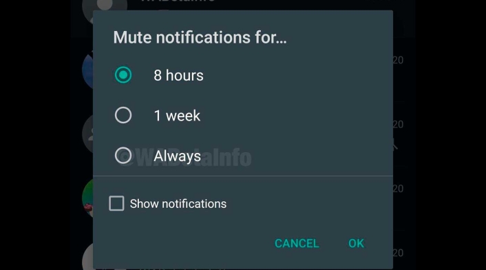 WhatsApp deja silenciar chats para siempre