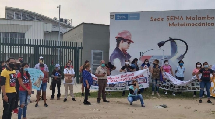 Animalistas exigen que se aclare lo ocurrido.