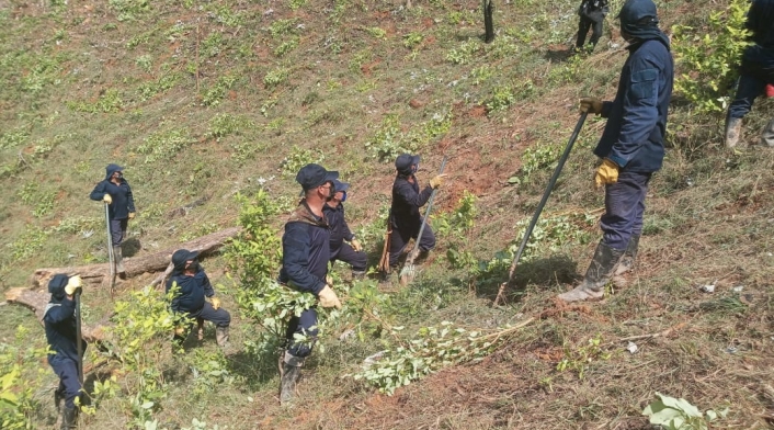 Erradicación de Cultivos de Coca