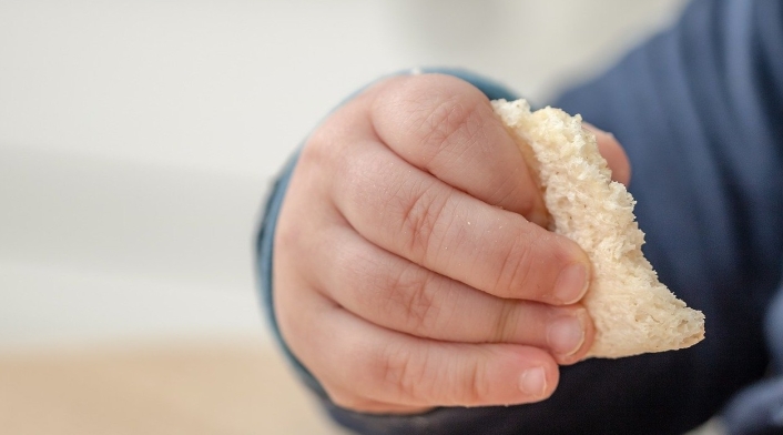 Alimentos para niños Alimentos para niños