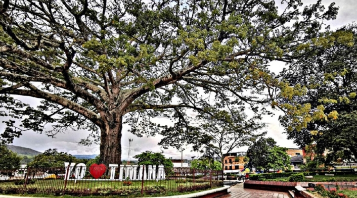 Timaná Huila