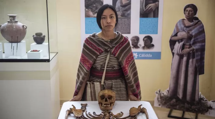 La dama de Sauce - Perú