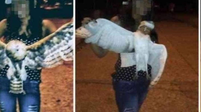 Asesinan a mujer que decapitó a una lechuza en Sucre