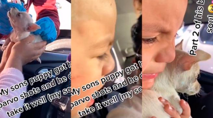 Niño llora luego de que su pequeño perro ladrara tras ser vacunado