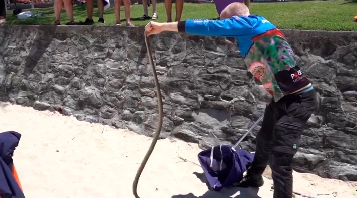 Serpiente hallada cerca de parque infantil