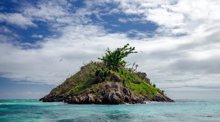 Aves en la isla de Providencia.