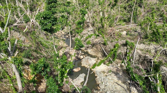 Pérdida de bosques en Providencia.
