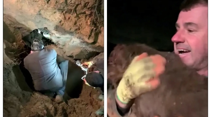 Rescate de perro con sordera Dizzy de la BBC