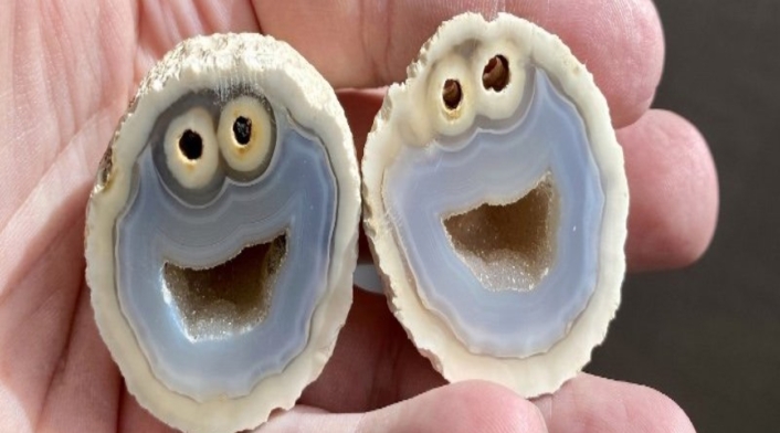 Encuentran roca volcánica que se parece al 'Monstruo come galletas'