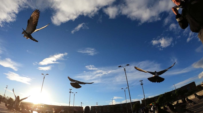 Nueva cuarentena en Kennedy por aumento de ocupación UCI en Bogotá