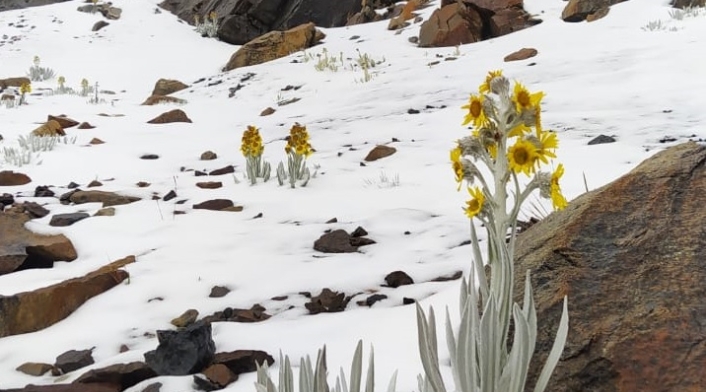 Nevada en Parque Natural de Boyacá