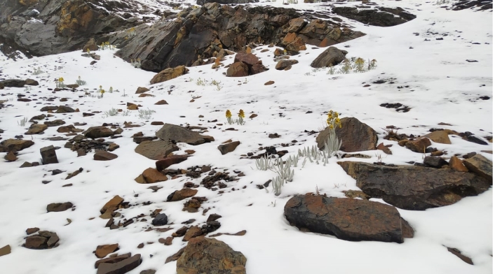 Nevada en Parque Natural de Boyacá