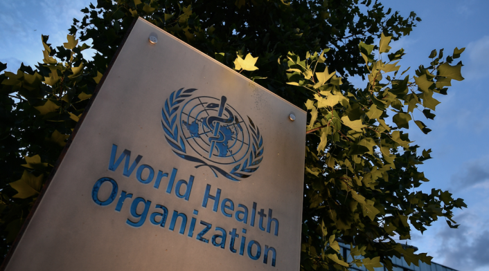 Organización Mundial de la Salud (OMS)