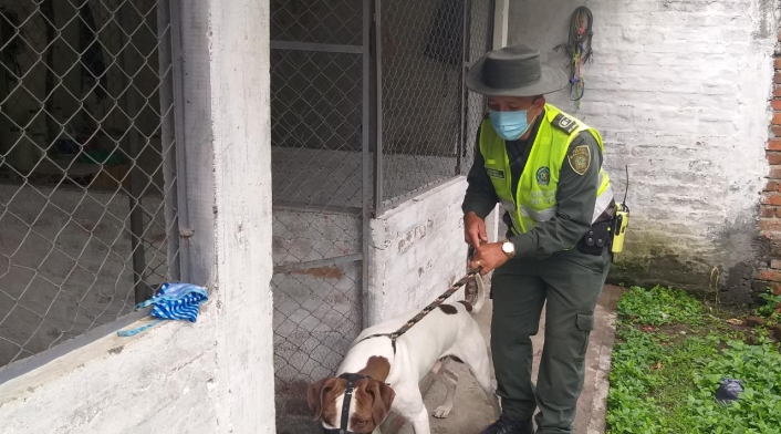 El caso ocurrió en Tuluá, Valle.