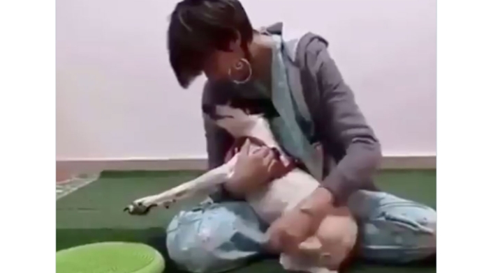 Perrita rehabilitada