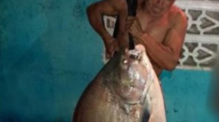 Aun no sabe si la pondrá a la venta