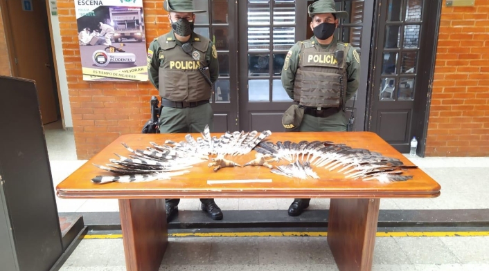 Tráfico de fauna